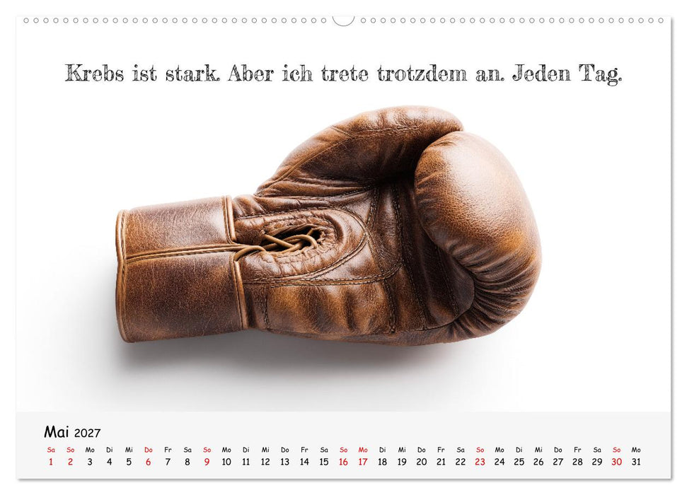 Krebs ist ein Vollidiot - Kalender für alle Kämpfer mit Krebserkrankung (CALVENDO Wandkalender 2027)