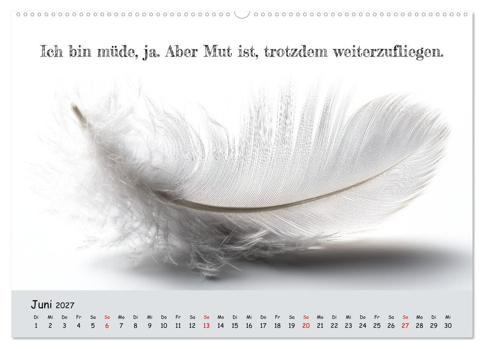 Krebs ist ein Vollidiot - Kalender für alle Kämpfer mit Krebserkrankung (CALVENDO Wandkalender 2027)