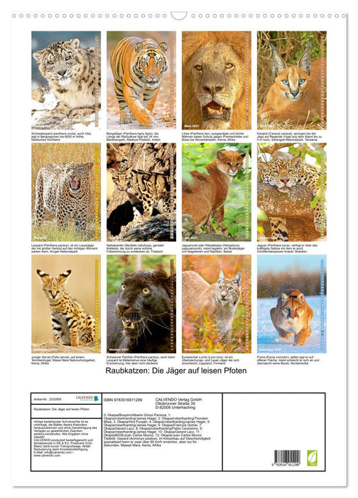 Raubkatzen: Die Jäger auf leisen Pfoten (CALVENDO Wandkalender 2027)