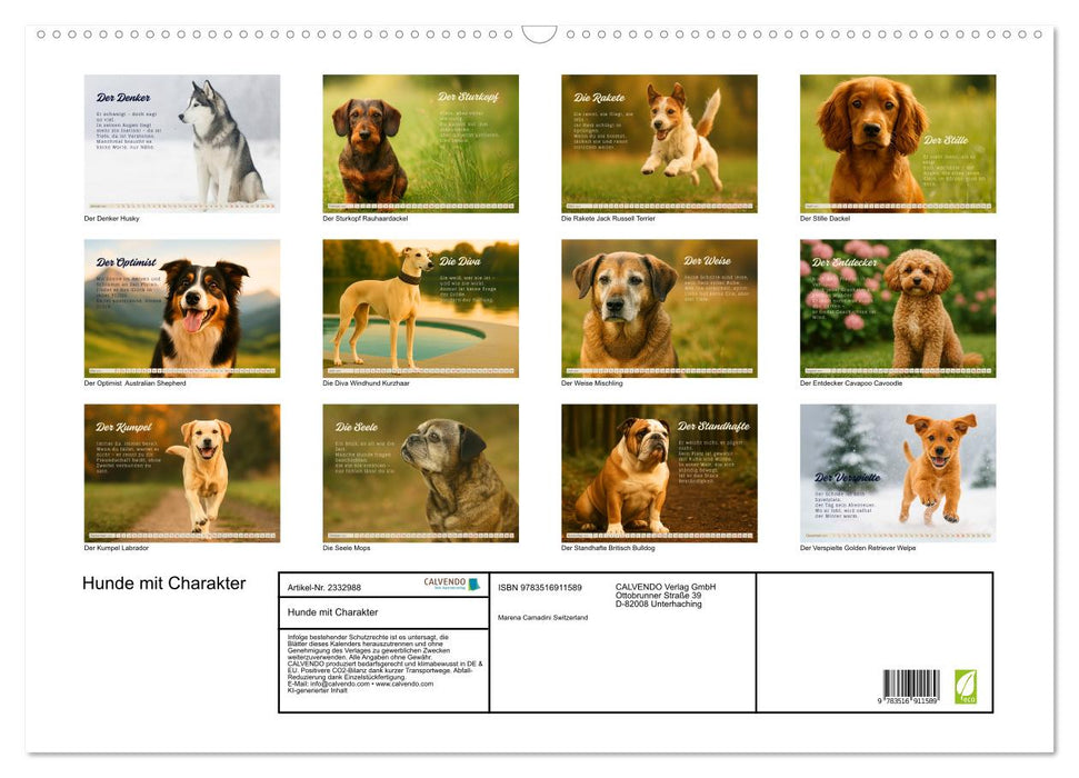 Hunde mit Charakter (CALVENDO Wandkalender 2027)