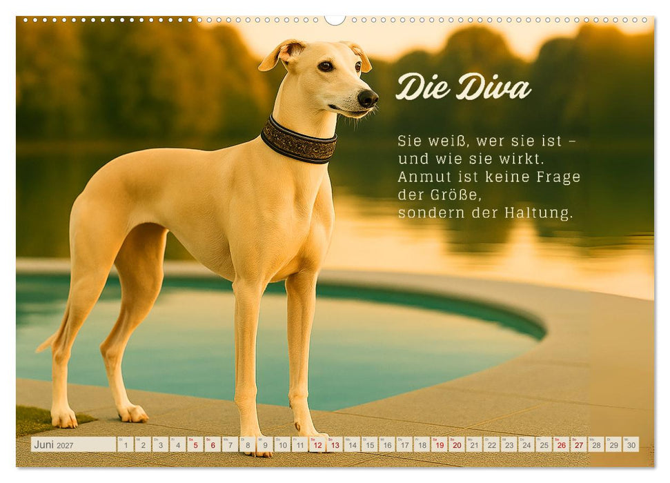 Hunde mit Charakter (CALVENDO Wandkalender 2027)