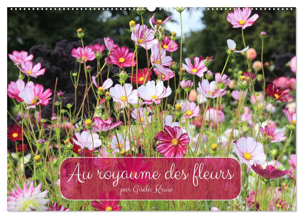 Au royaume des fleurs (CALVENDO Calendrier mensuel 2027)
