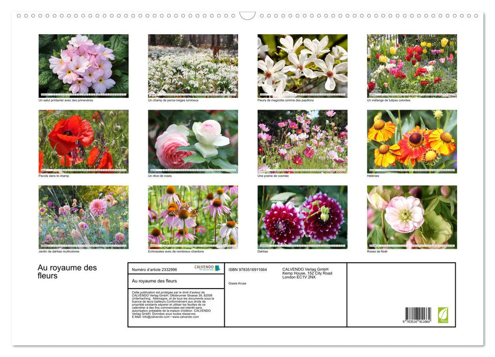 Au royaume des fleurs (CALVENDO Calendrier mensuel 2027)