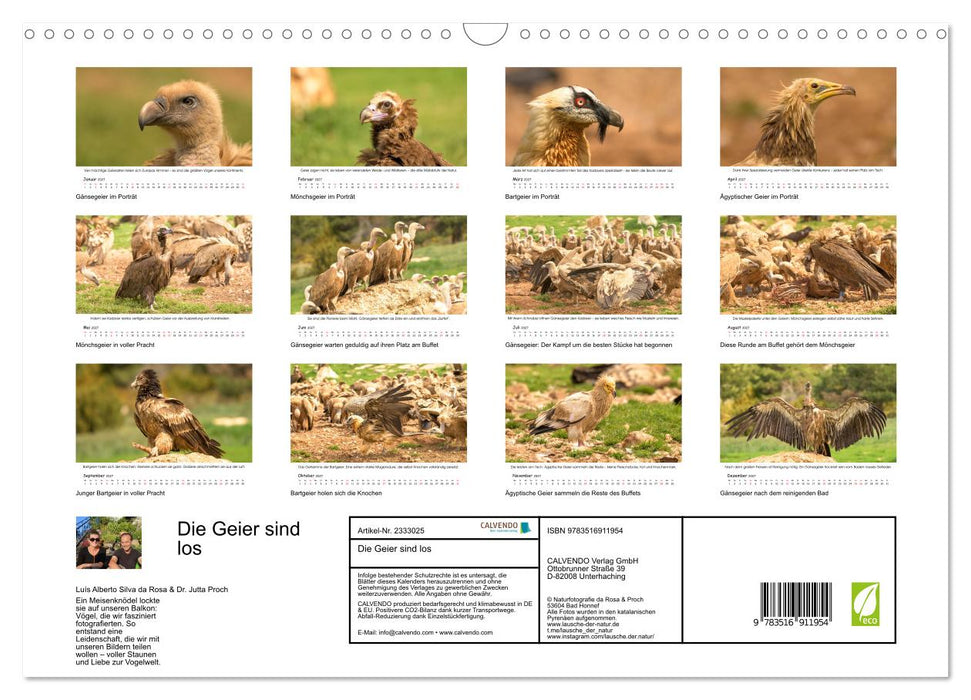 Die Geier sind los (CALVENDO Wandkalender 2027)