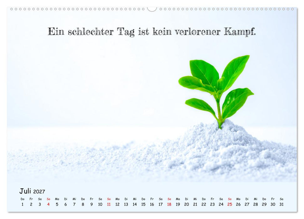 Krebs ist ein Vollidiot - Kalender für alle Kämpfer mit Krebserkrankung (CALVENDO Premium Wandkalender 2027)