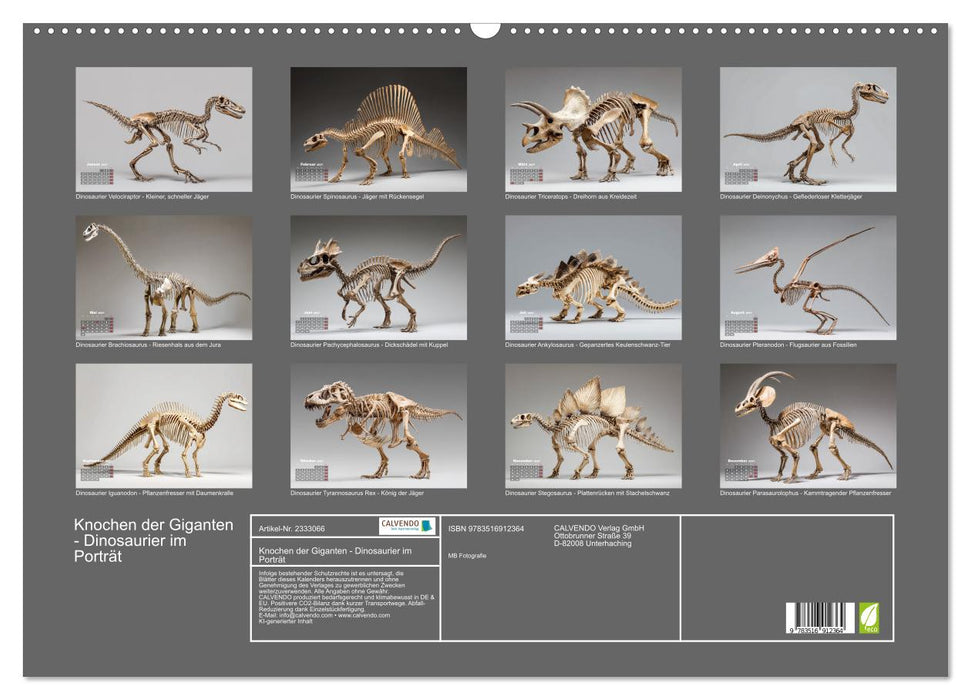 Knochen der Giganten - Dinosaurier im Porträt (CALVENDO Wandkalender 2027)