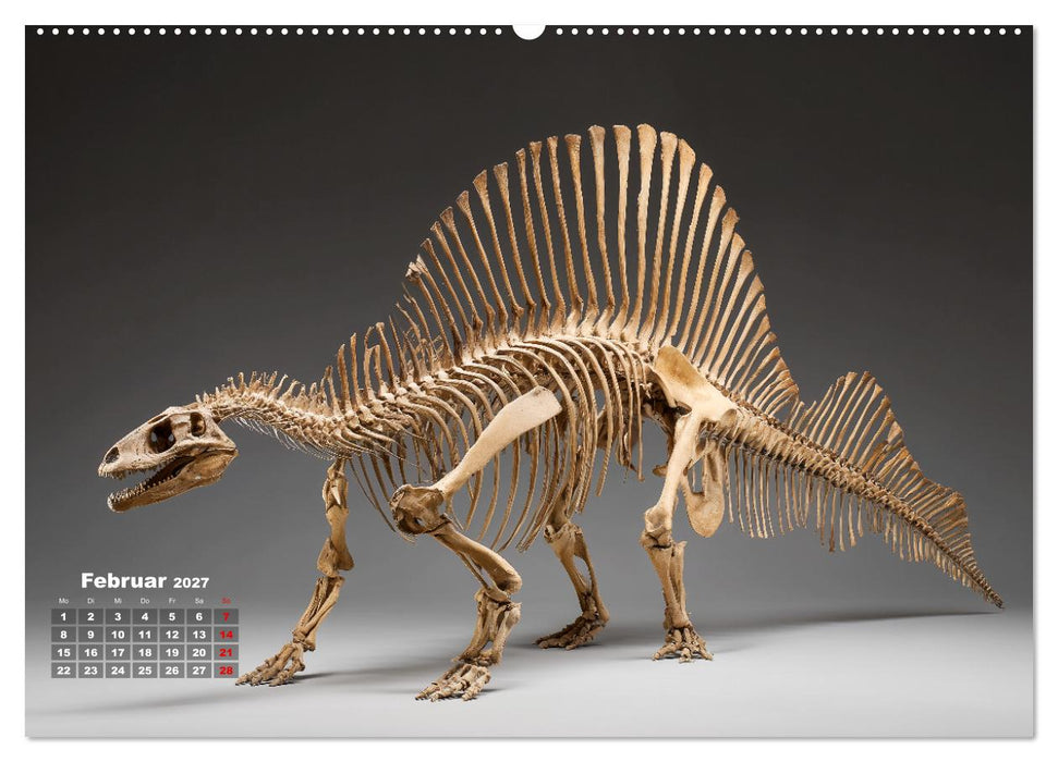 Knochen der Giganten - Dinosaurier im Porträt (CALVENDO Wandkalender 2027)