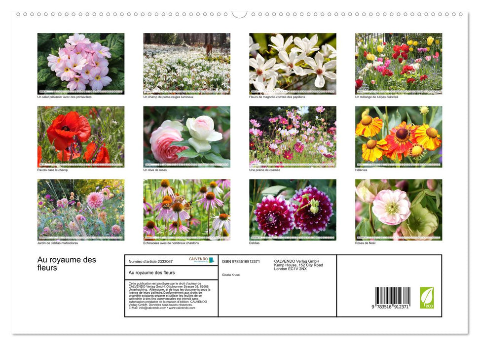 Au royaume des fleurs (CALVENDO Calendrier supérieur 2027)