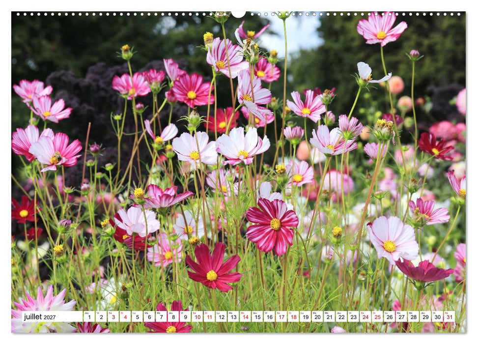 Au royaume des fleurs (CALVENDO Calendrier supérieur 2027)