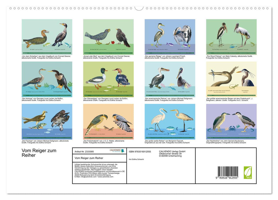 Vom Reiger zum Reiher (CALVENDO Premium Wandkalender 2027)