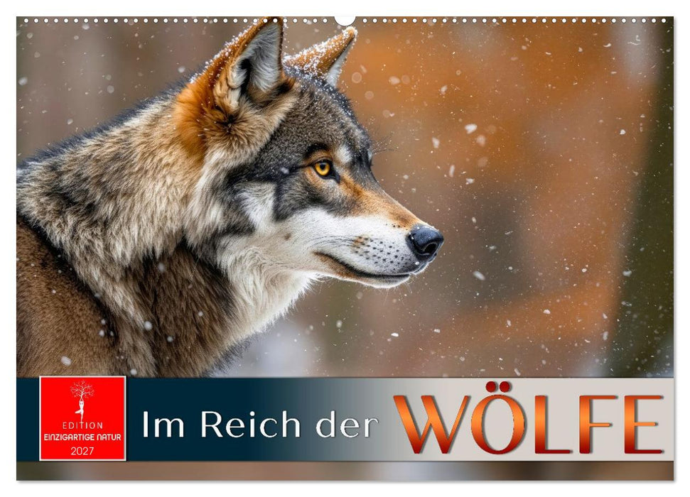 Im Reich der Wölfe (CALVENDO Wandkalender 2027)
