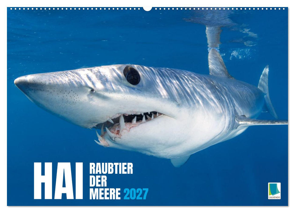 Hai: Raubtier der Meere (CALVENDO Wandkalender 2027)