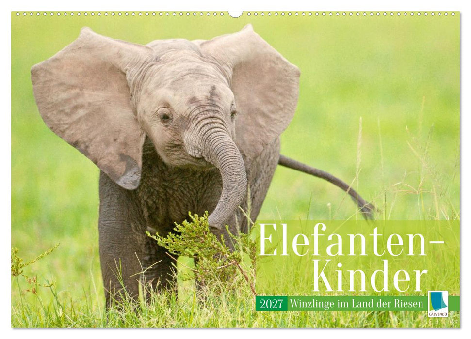 Elefanten Kinder: Winzlinge im Land der Riesen (CALVENDO Wandkalender 2027)