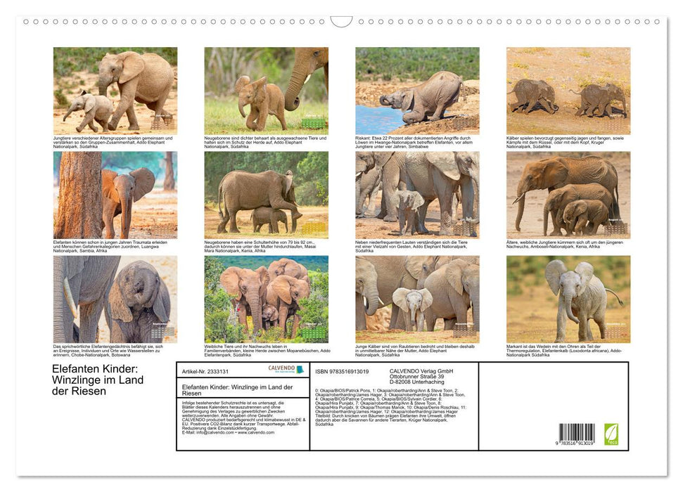 Elefanten Kinder: Winzlinge im Land der Riesen (CALVENDO Wandkalender 2027)