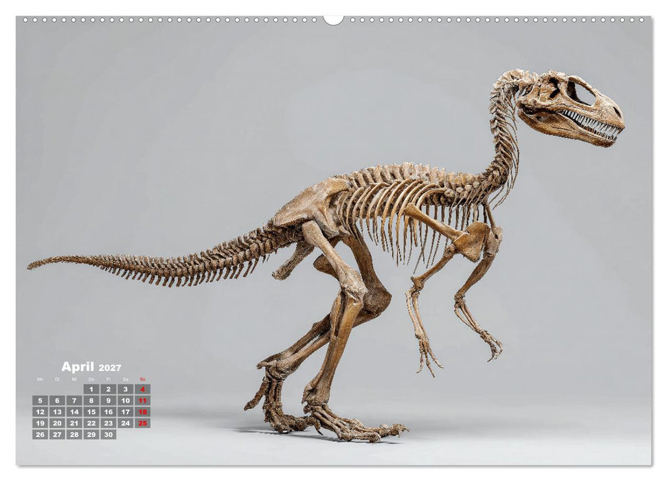 Knochen der Giganten - Dinosaurier im Porträt (CALVENDO Premium Wandkalender 2027)