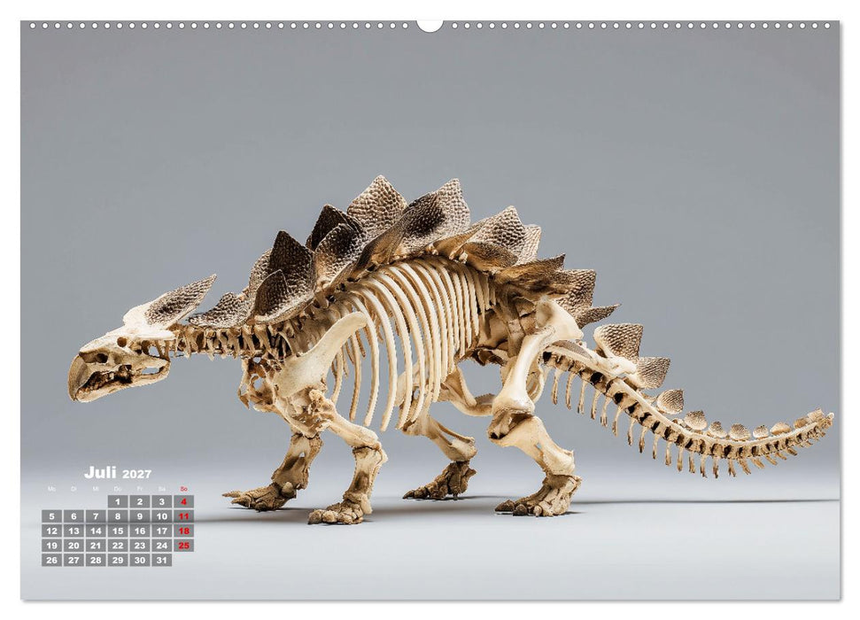 Knochen der Giganten - Dinosaurier im Porträt (CALVENDO Premium Wandkalender 2027)