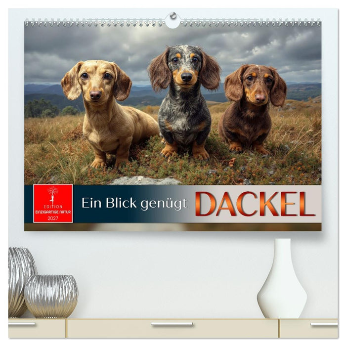Dackel - ein Blick genügt (CALVENDO Premium Wandkalender 2027)