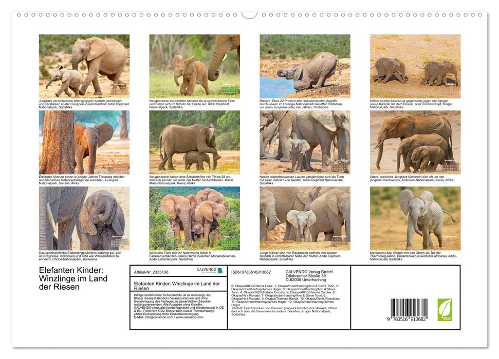 Elefanten Kinder: Winzlinge im Land der Riesen (CALVENDO Premium Wandkalender 2027)