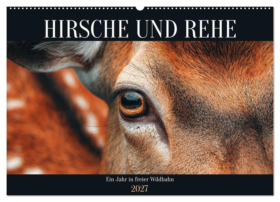 HIRSCHE UND REHE - Ein Jahr in freier Wildbahn (CALVENDO Wandkalender 2027)