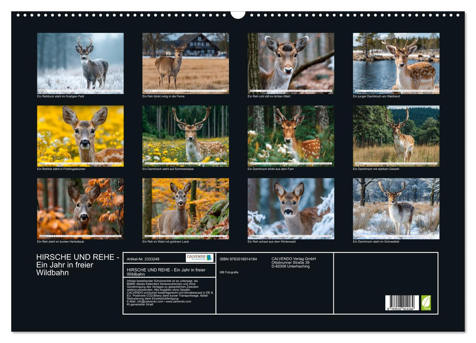HIRSCHE UND REHE - Ein Jahr in freier Wildbahn (CALVENDO Wandkalender 2027)