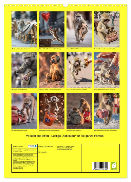 Verstohlene Affen - Lustige Diebestour für die ganze Familie (CALVENDO Premium Wandkalender 2027)