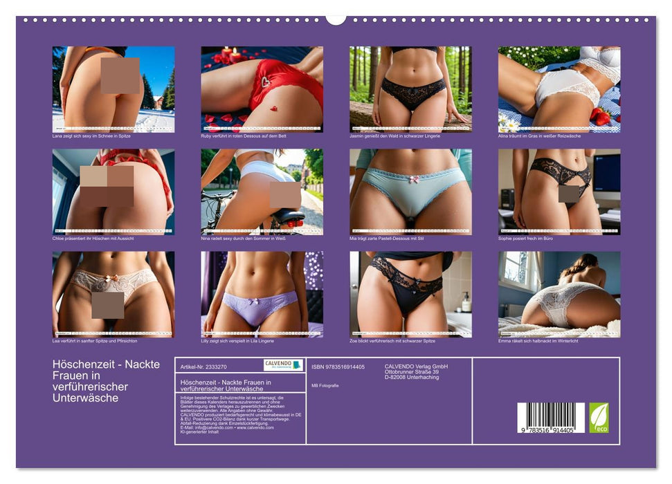 Höschenzeit - Nackte Frauen in verführerischer Unterwäsche (CALVENDO Premium Wandkalender 2027)