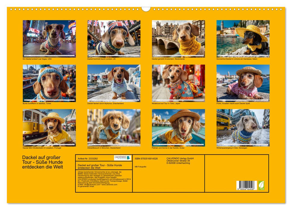 Dackel auf großer Tour - Süße Hunde entdecken die Welt (CALVENDO Wandkalender 2027)