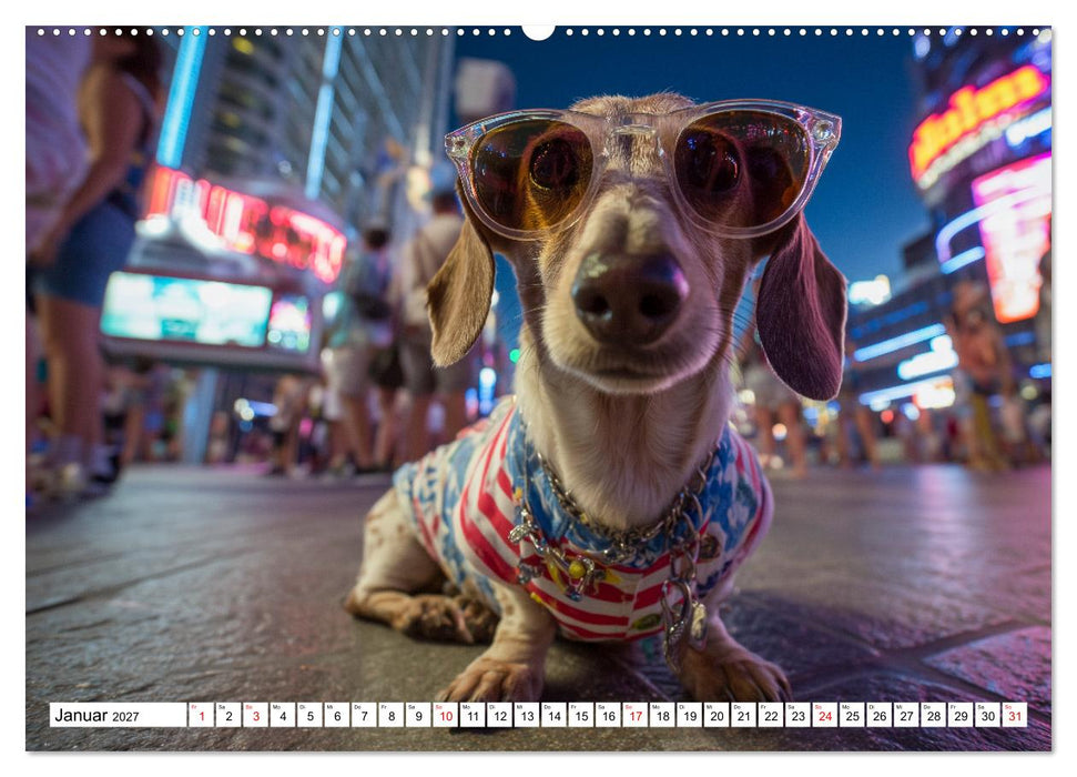 Dackel auf großer Tour - Süße Hunde entdecken die Welt (CALVENDO Wandkalender 2027)