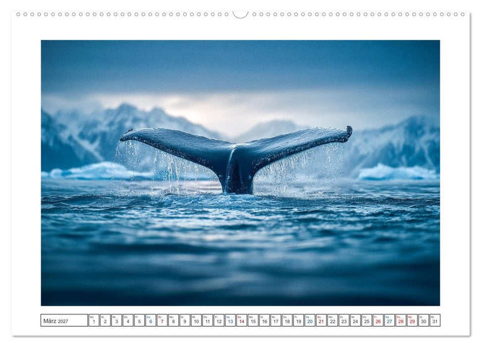 Die letzte Fahrt der Sturmkrähe (CALVENDO Wandkalender 2027)
