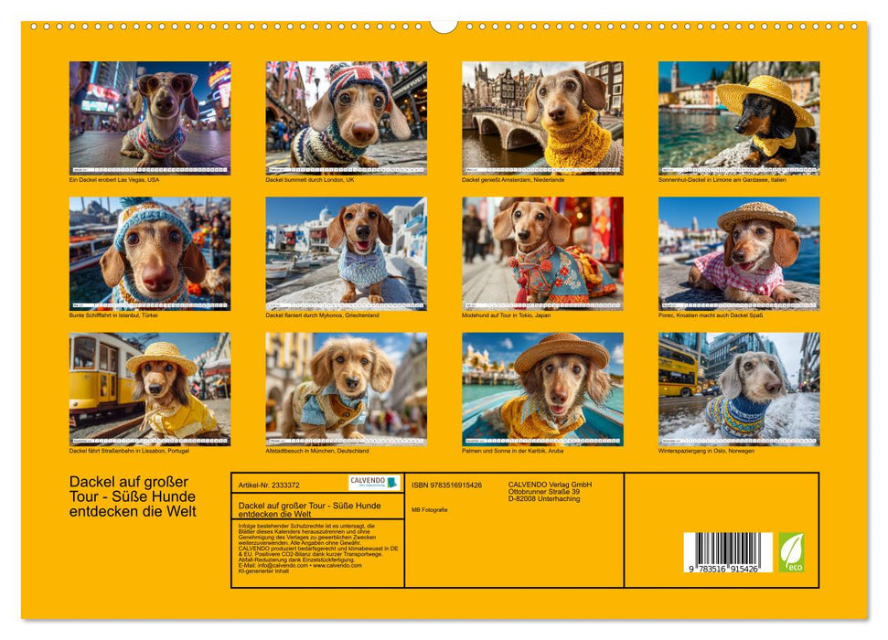 Dackel auf großer Tour - Süße Hunde entdecken die Welt (CALVENDO Premium Wandkalender 2027)