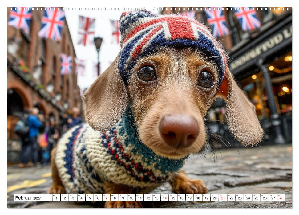 Dackel auf großer Tour - Süße Hunde entdecken die Welt (CALVENDO Premium Wandkalender 2027)