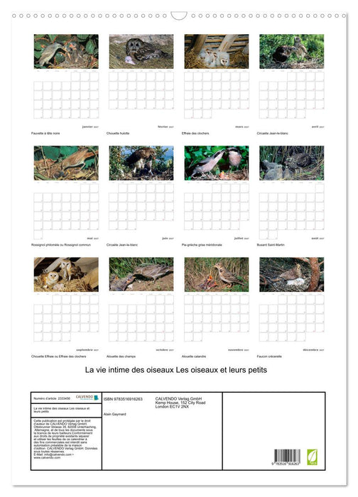 La vie intime des oiseaux Les oiseaux et leurs petits (CALVENDO Calendrier mensuel 2027)
