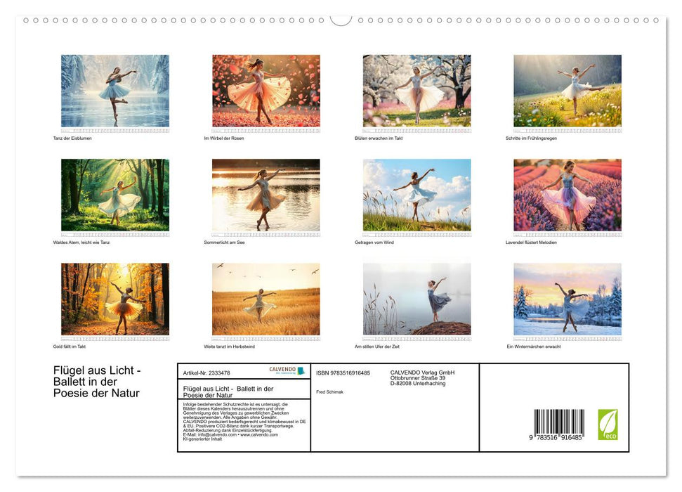 Flügel aus Licht - Ballett in der Poesie der Natur (CALVENDO Premium Wandkalender 2027)