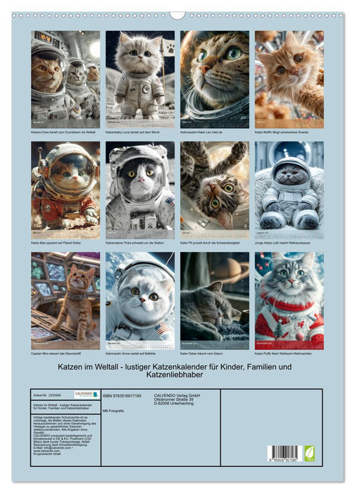Katzen im Weltall - lustiger Katzenkalender für Kinder, Familien und Katzenliebhaber (CALVENDO Wandkalender 2027)