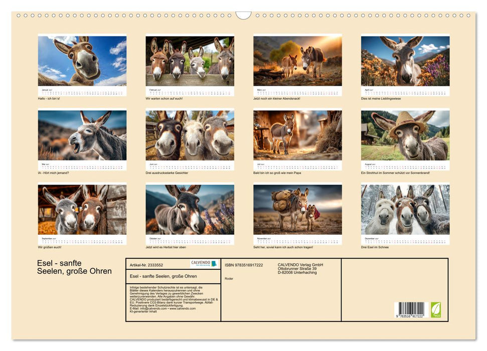 Esel - sanfte Seelen, große Ohren (CALVENDO Wandkalender 2027)