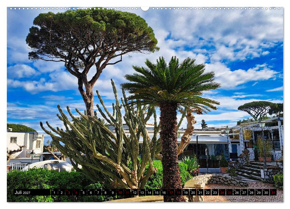 Faszinierendes Capri (CALVENDO Premium Wandkalender 2027)