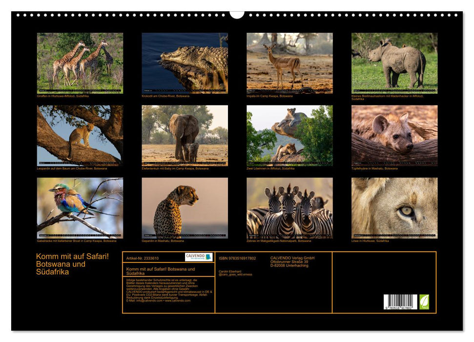 Komm mit auf Safari! Botswana und Südafrika (CALVENDO Wandkalender 2027)