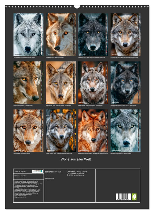 Wölfe aus aller Welt (CALVENDO Wandkalender 2027)