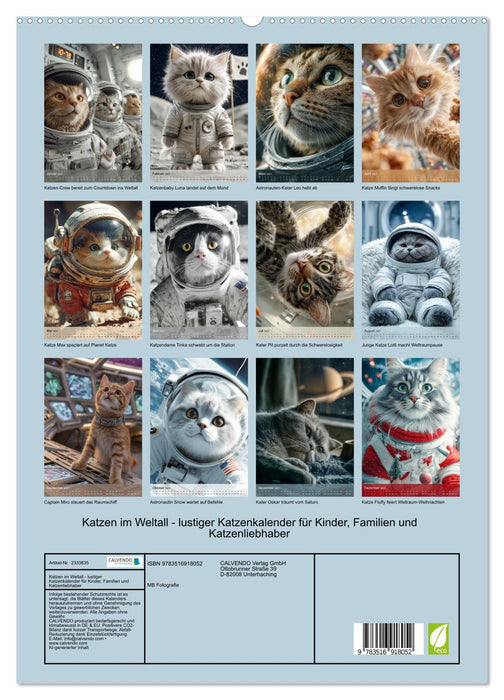 Katzen im Weltall - lustiger Katzenkalender für Kinder, Familien und Katzenliebhaber (CALVENDO Premium Wandkalender 2027)