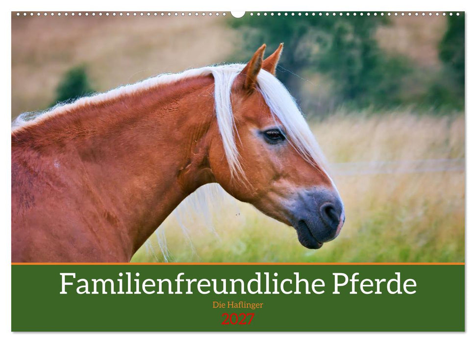Familienfreundliche Pferde (CALVENDO Wandkalender 2027)