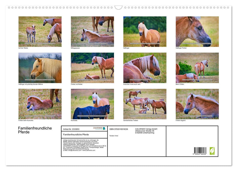 Familienfreundliche Pferde (CALVENDO Wandkalender 2027)