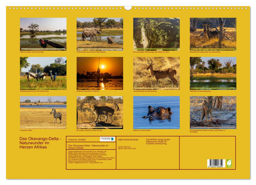 Das Okavango-Delta - Naturwunder im Herzen Afrikas (CALVENDO Wandkalender 2027)