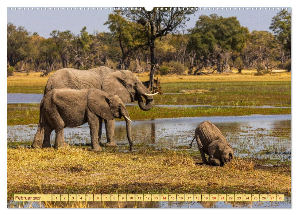 Das Okavango-Delta - Naturwunder im Herzen Afrikas (CALVENDO Wandkalender 2027)