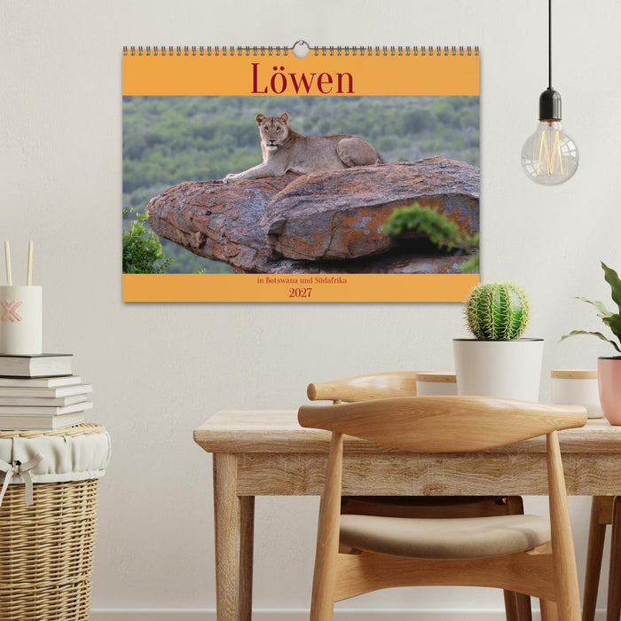 Löwen in Botswana und Südafrika (CALVENDO Wandkalender 2027)