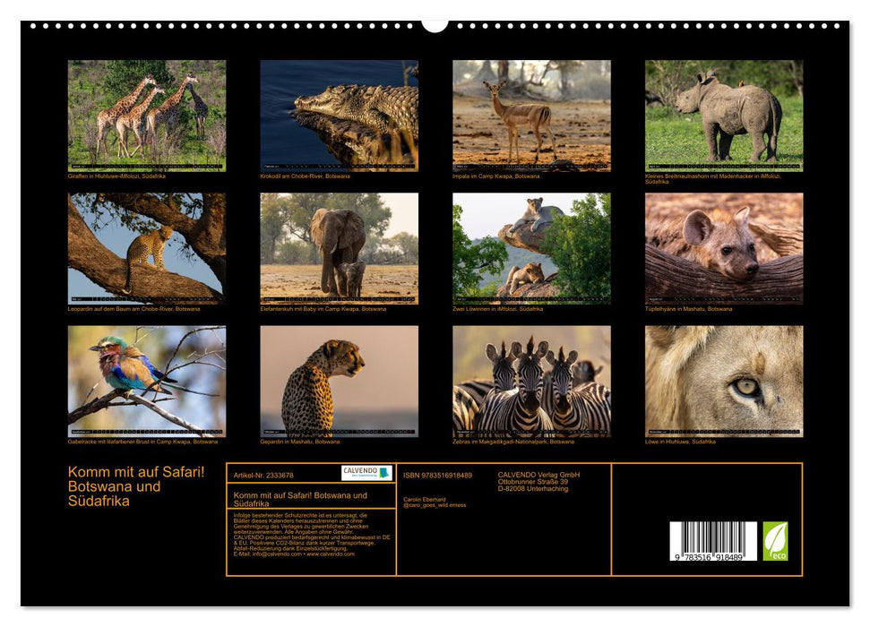 Komm mit auf Safari! Botswana und Südafrika (CALVENDO Premium Wandkalender 2027)