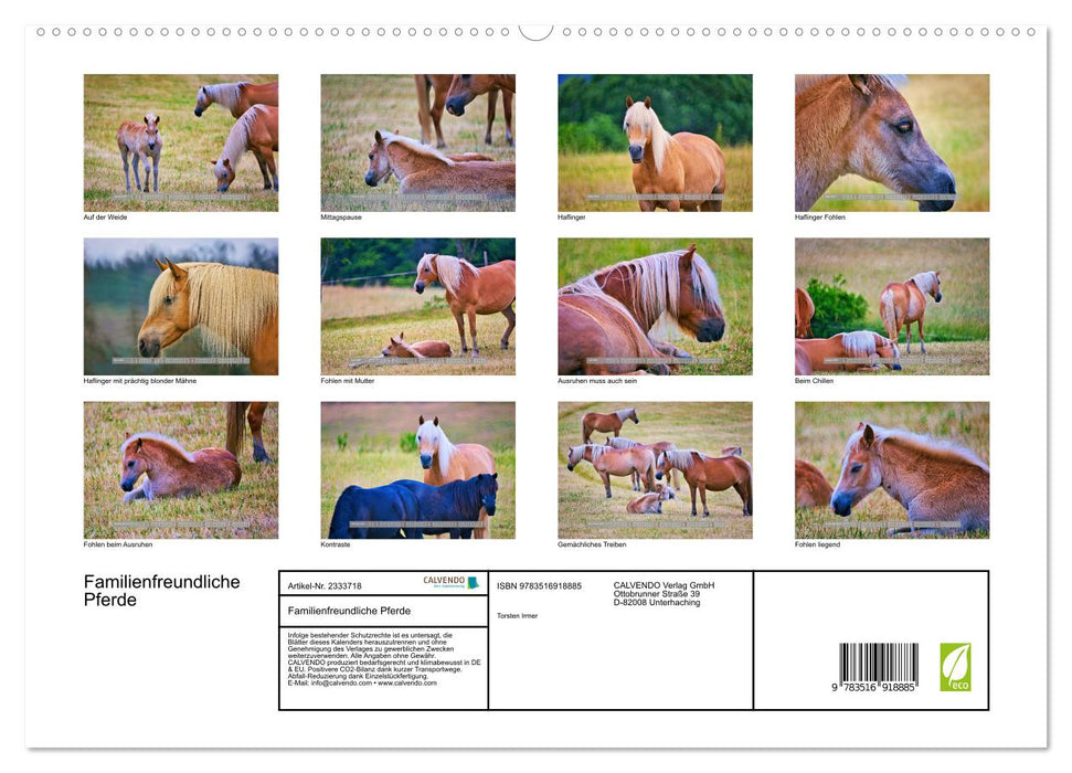 Familienfreundliche Pferde (CALVENDO Premium Wandkalender 2027)