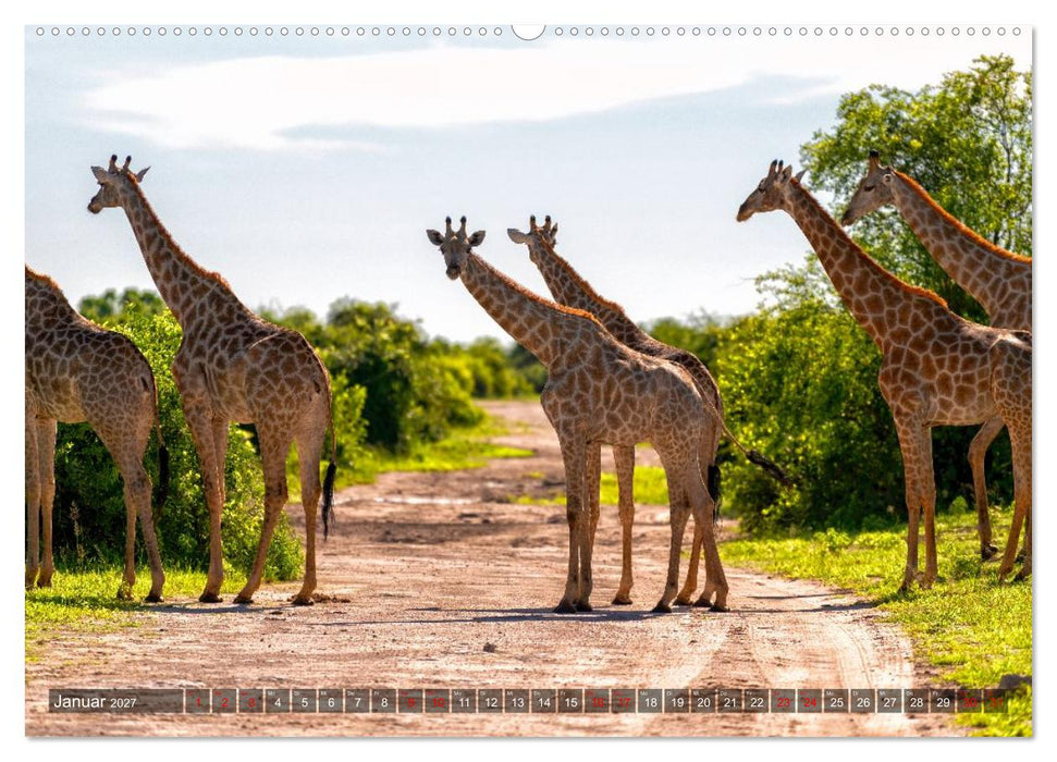 Namibia und Botswana - Entdeckungen in der Weite Afrikas (CALVENDO Premium Wandkalender 2027)