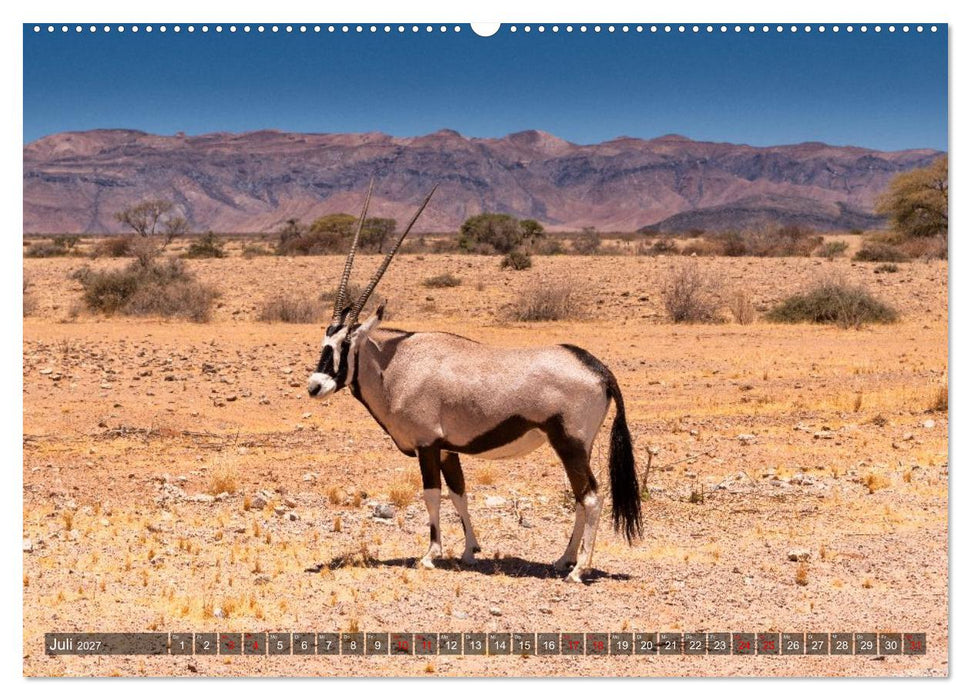Namibia und Botswana - Entdeckungen in der Weite Afrikas (CALVENDO Premium Wandkalender 2027)