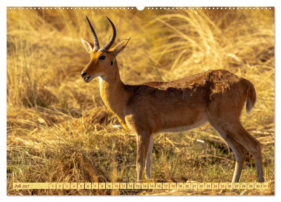 Das Okavango-Delta - Naturwunder im Herzen Afrikas (CALVENDO Premium Wandkalender 2027)