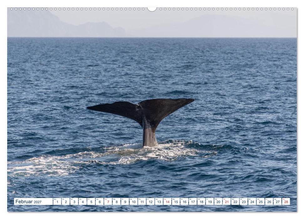 Lofoten Vesterålen (CALVENDO Premium Wandkalender 2027)